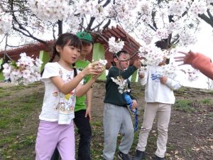 🌸住之江公園で満開の桜を見てきました🌸花園町vol.156